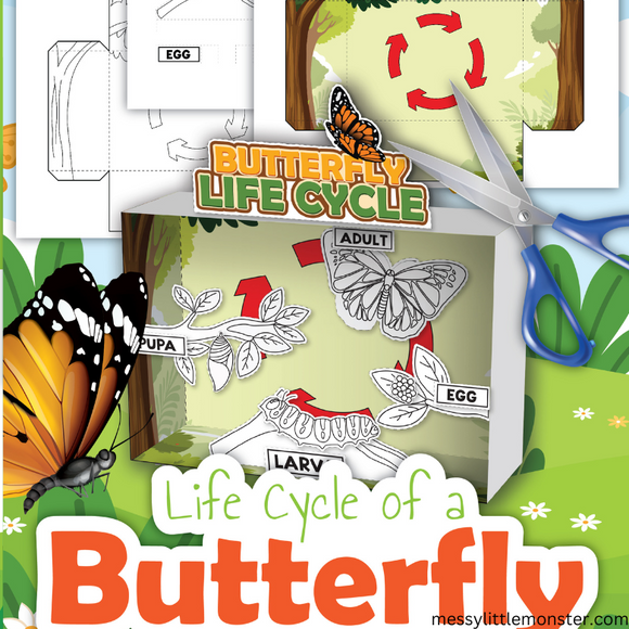 3d life cycle of a butterfly printable craft