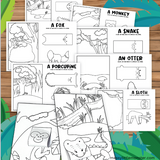 3d rainforest animal colorring page