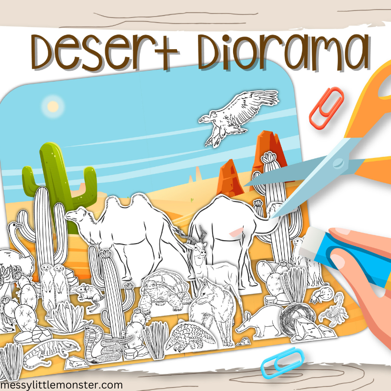 How to Make a Desert Diorama Craft