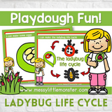 ladybug life cycle playdough mat