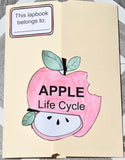 Apple Life Cycle Lap Book Printables