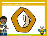 bee life cycle playdough mat activity