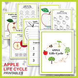 Apple Activity Printables