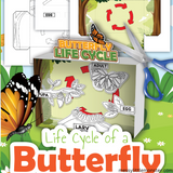 3d life cycle of a butterfly printable craft