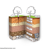 different layers of soil diorama model