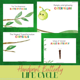 butterfly life cycle craft