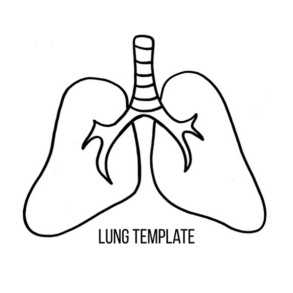 lung template