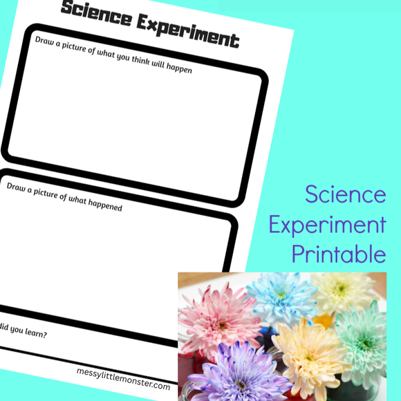 Science Experiment Worksheet – Messy Little Monster Shop