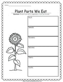 Plant Printable Activities