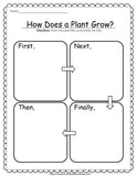 Plant Printable Activities