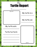 Sea Turtle Printable Activities
