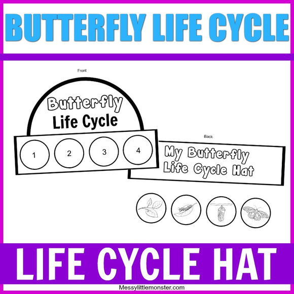 butterfly life cycle hat