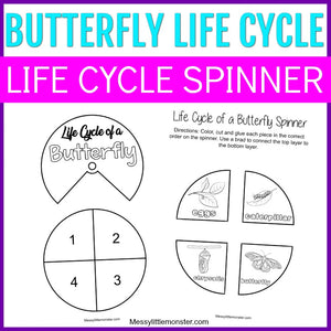Butterfly Life Cycle Spinner