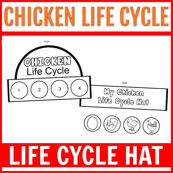 chicken life cycle hat