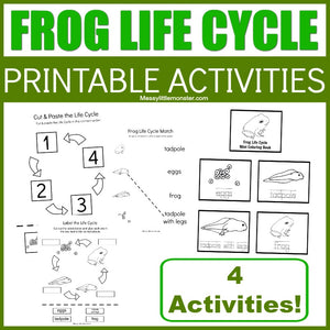 Frog Life Cycle Activities