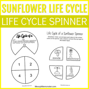 sunflower life cycle activity. Life cycle spinner craft. 