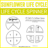 sunflower life cycle activity. Life cycle spinner craft. 