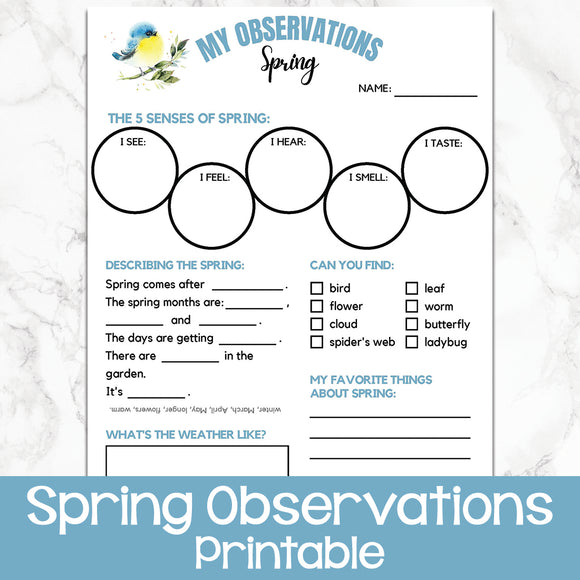 Spring Observations – Messy Little Monster Shop