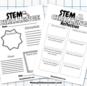 STEM Challenge Reflection