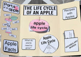 Apple Life Cycle Lap Book Printables