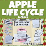 Apple Life Cycle Lap Book Printables