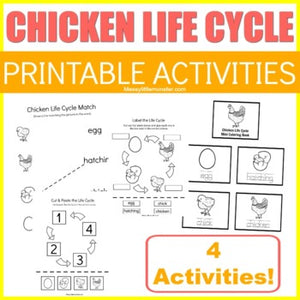 Chicken Life Cycle Activities
