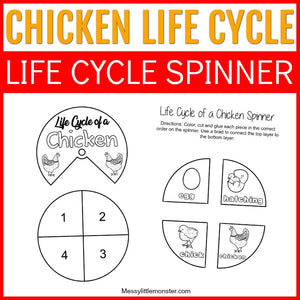 Chicken Life Cycle Spinner
