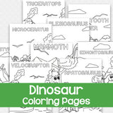 Dinosaurs/Prehistoric Animals Coloring Book
