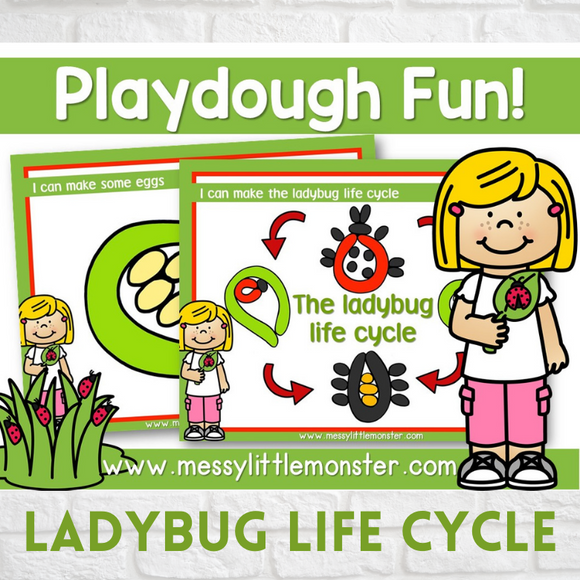ladybug life cycle playdough mat activity for kids