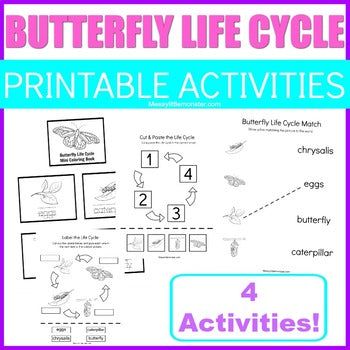 Butterfly Life Cycle Activities