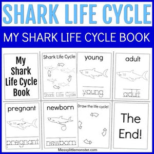 Shark Life Cycle Mini Coloring Book