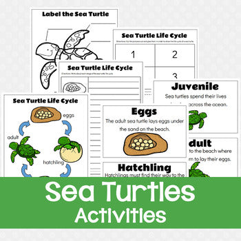 Sea Turtles Worksheets